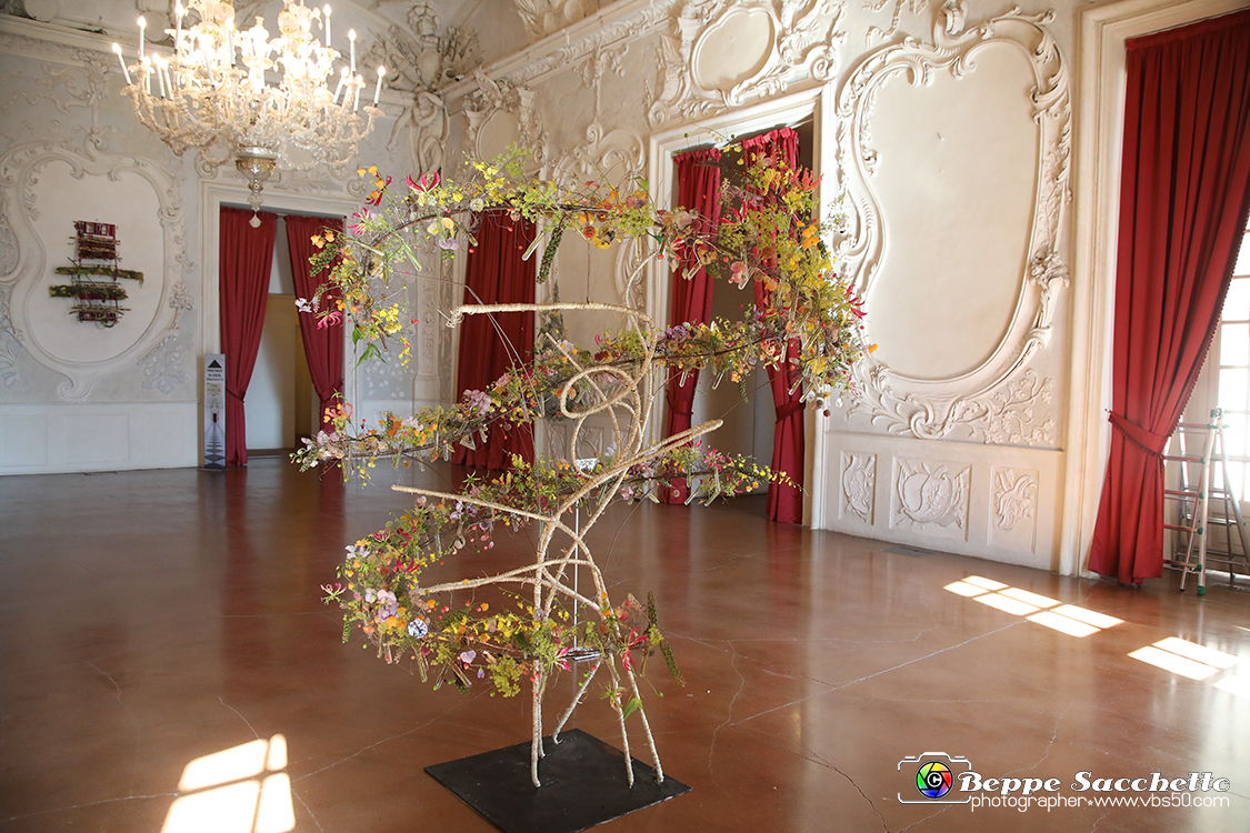 VBS_0150 - Corollaria Flower Exhibition 2022.jpg